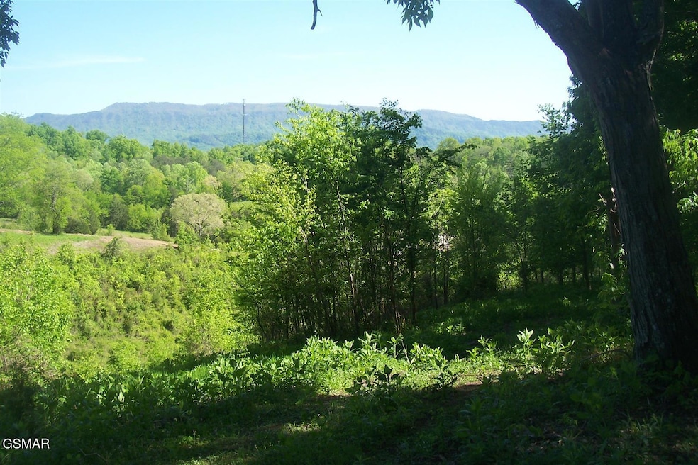 Tract 1 Chapman Hwy, Seymour, TN 37865 - photo 1