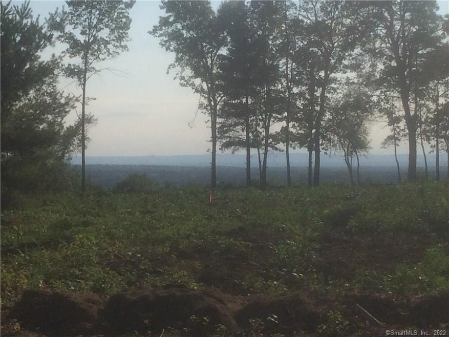 53 Pinnacle Rd, Ellington, CT 06029 - photo 1
