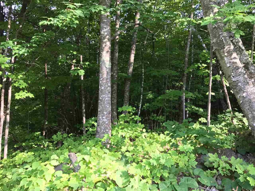 0 Jones Rd unit 4655497, Effingham, NH 03882 - photo 1