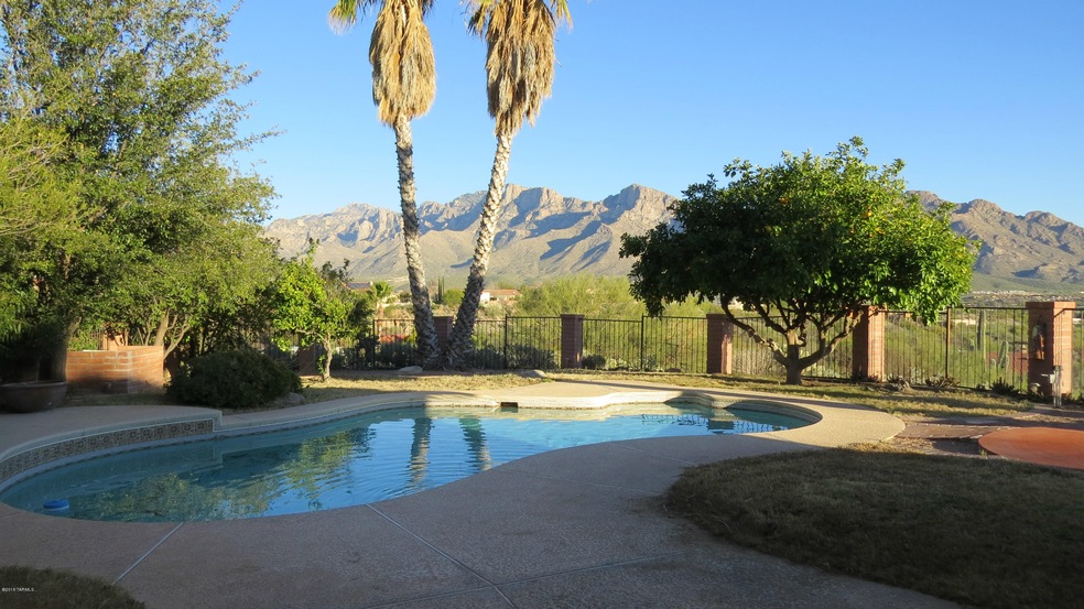 Pool and Yard