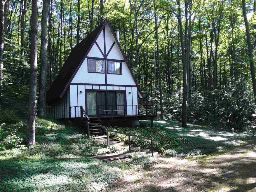 11165 Townpump Rd, Boyne Falls, MI 49713 - photo 1