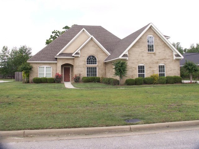 Main View