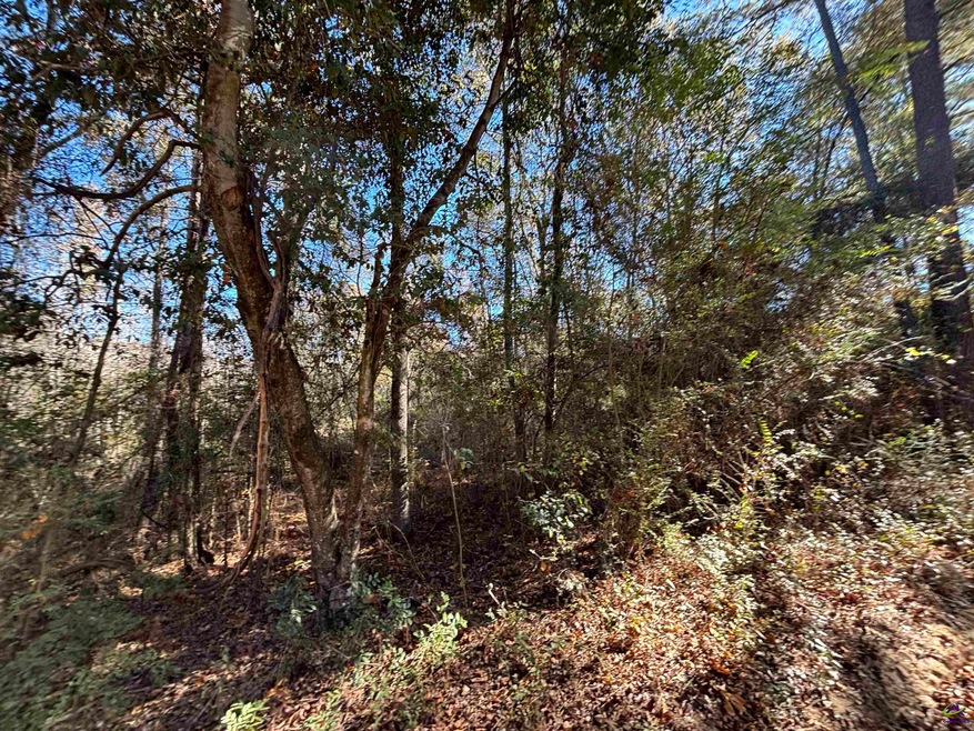 0 Julian Simpson Rd unit 257542, Cochran, GA 31014 - photo 1