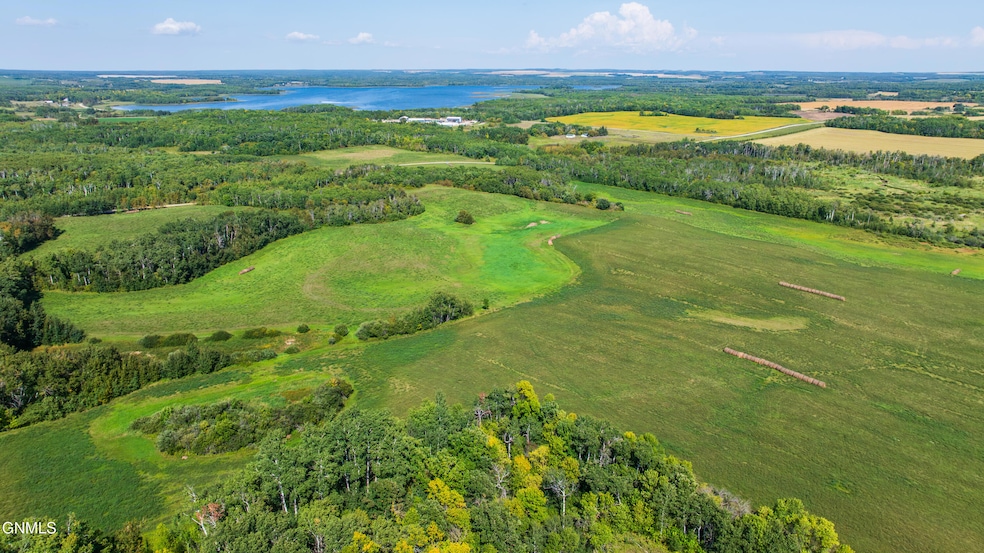 Amdak__Dunseith ND 120 Acres_0013