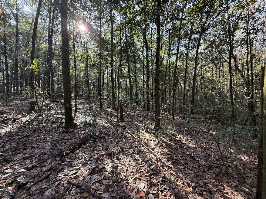 10075 Youngstowne Dr, Semmes, AL 36575 - photo 1