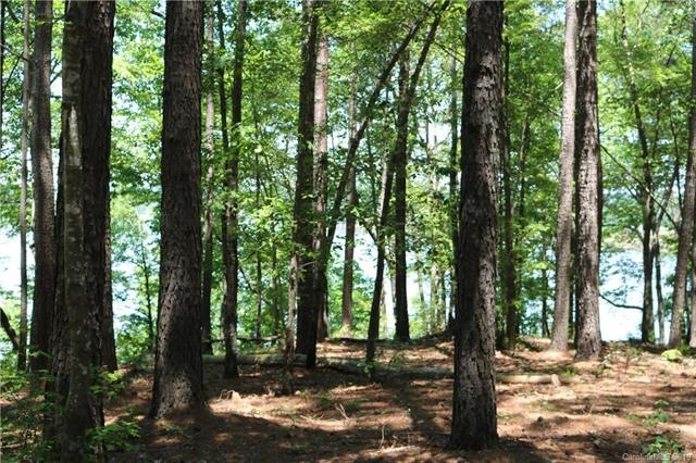 130 Bridgeland Trail unit Lot 4, Statesville, NC 28677 - photo 1