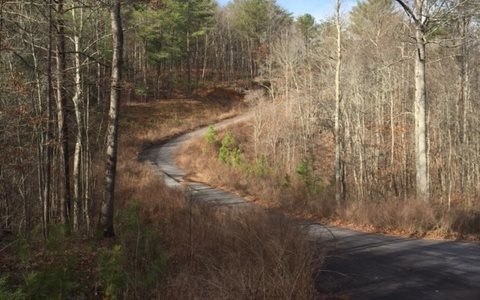 0 Ivy Cove Ln, Ellijay, GA 30536 - photo 1