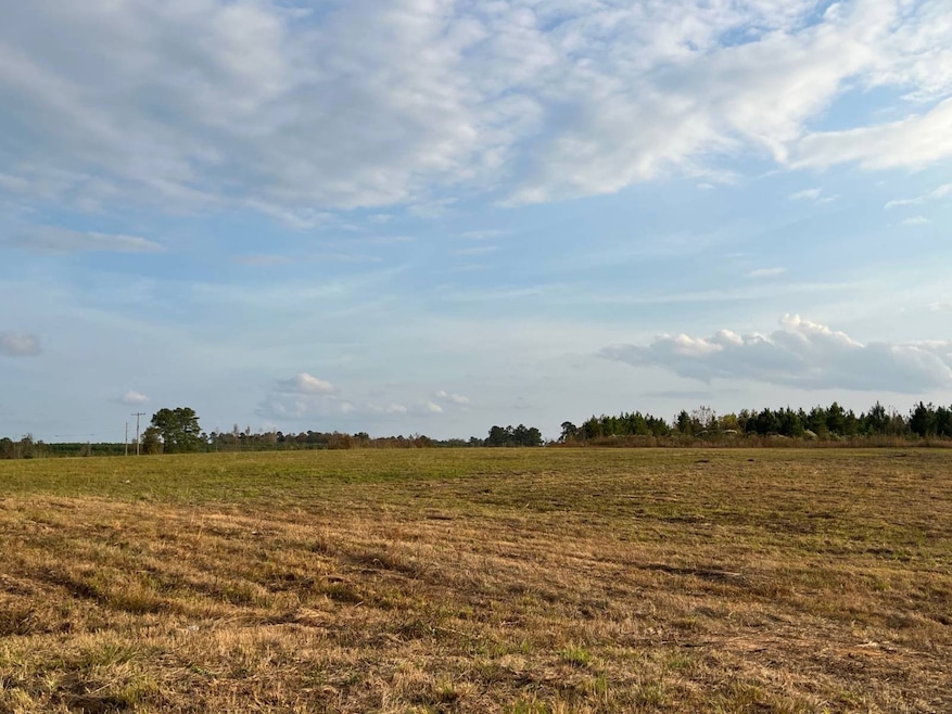 0 Pilcher Rd unit 11609601, Many, LA 71449 - photo 1