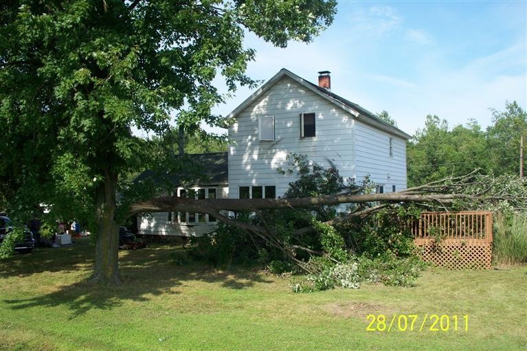 Primary Photo