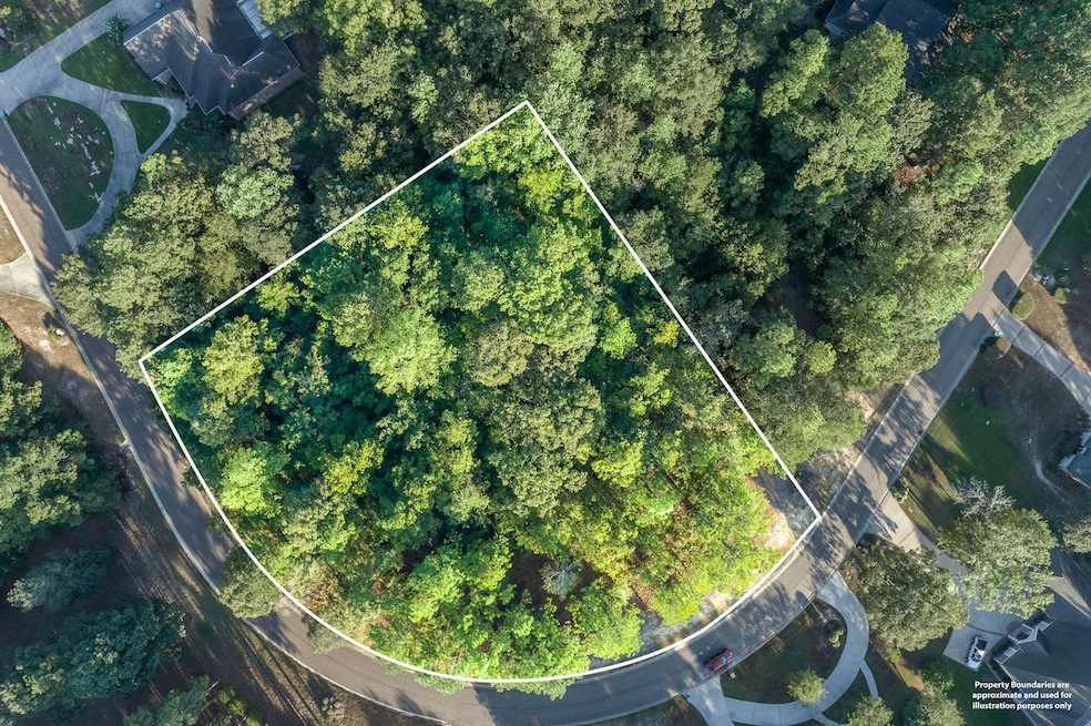 4 Drone View (8 of 9)