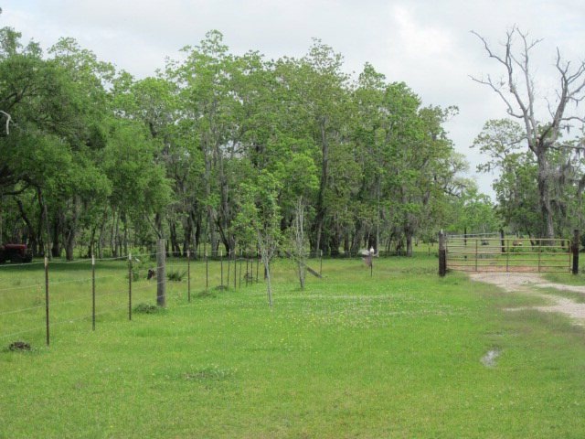 0 County Road 316 unit 60902, Brazoria, TX 77422 - photo 1