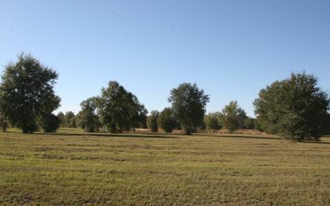 LOT75 Mandiba Dr, Lake City, FL 32024 - photo 1