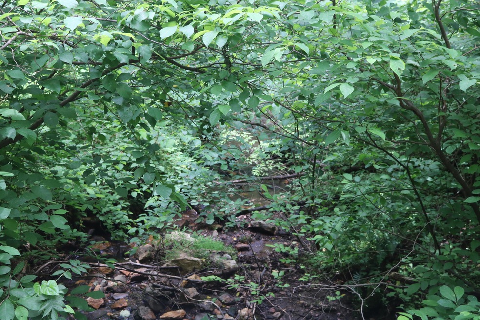 IMG_0417
