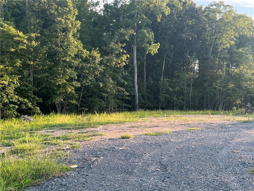 0 Rising View Way unit 1081866, Asheboro, NC 27205 - photo 1