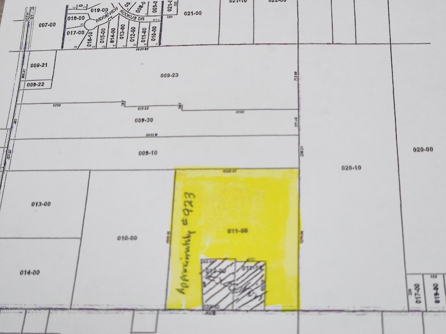 923 132nd Ave, Wayland, MI 49348 - photo 1