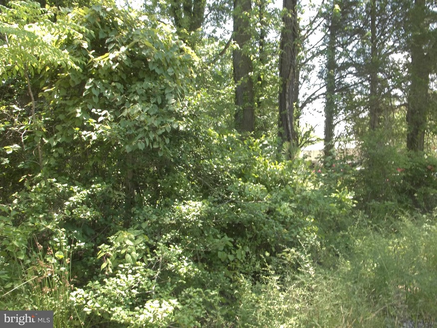 0 Greenway unit VAWE114782, Colonial Beach, VA 22443 - photo 1