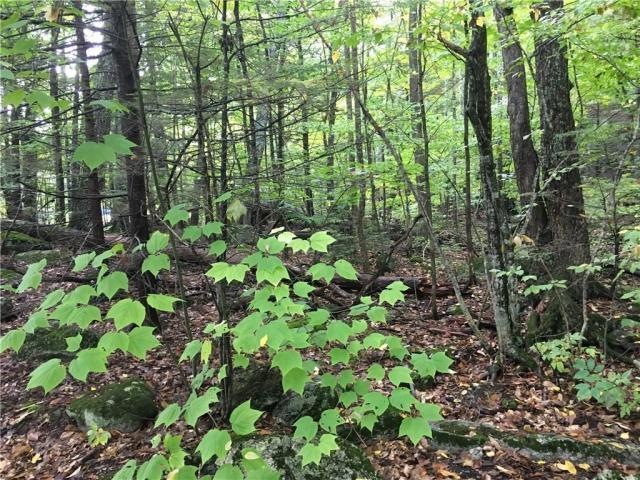 8 Amber Ln, Windham, ME 04062 - photo 1