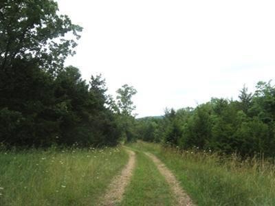 Primary Photo