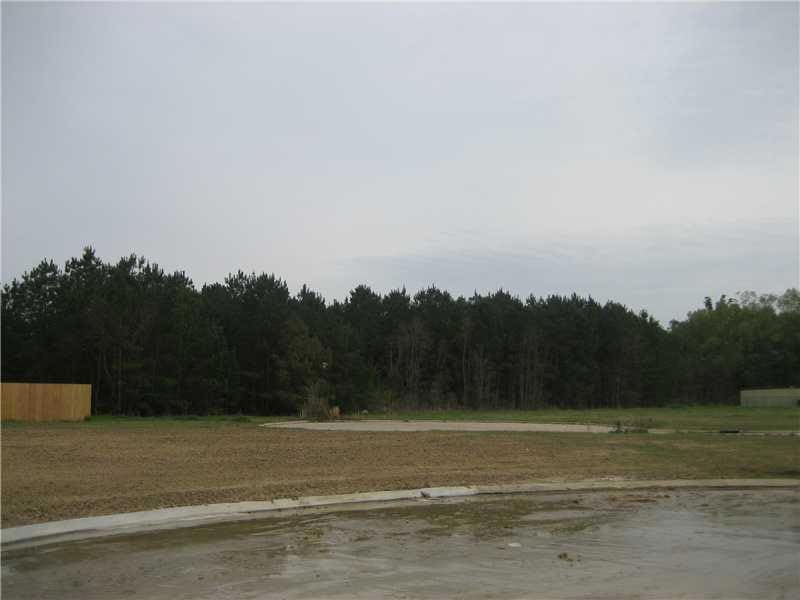 0 Veteran's Ave unit 972177, Ponchatoula, LA 70454 - photo 1