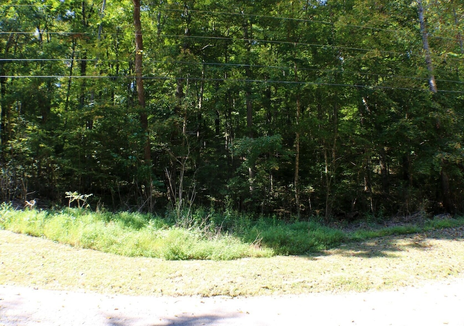 406 Harmony Ln, Burnside, KY 42519 - photo 1