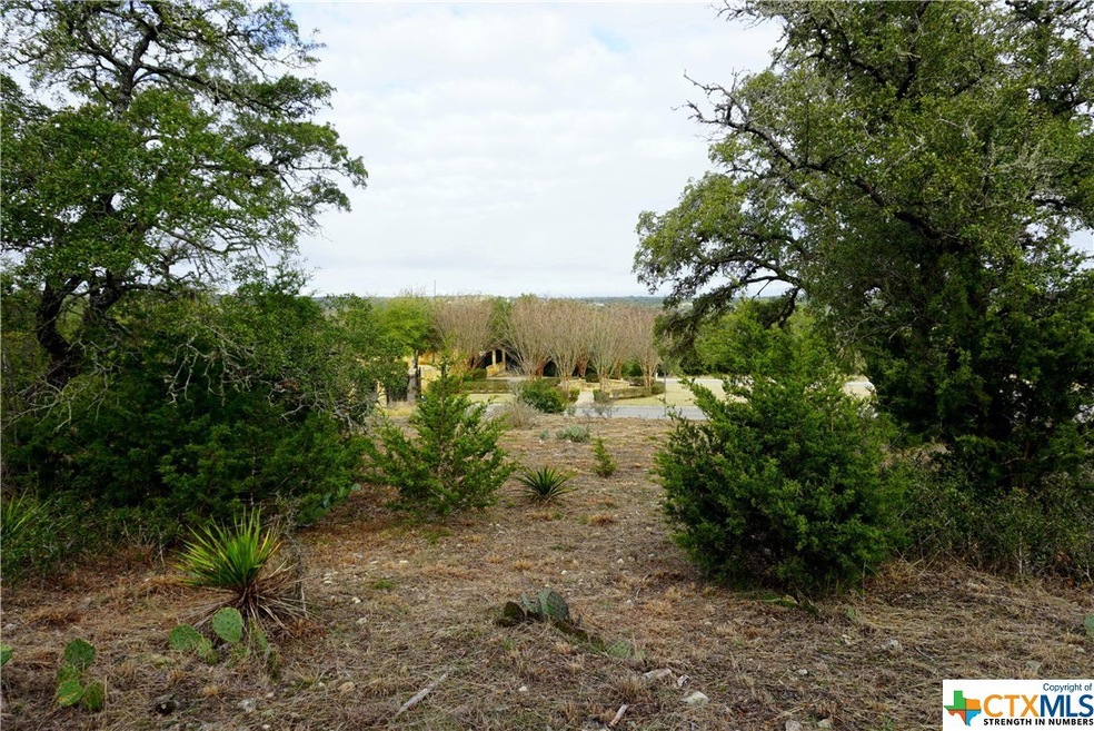 606 Angelica Vista, Canyon Lake, TX 78133 - photo 1