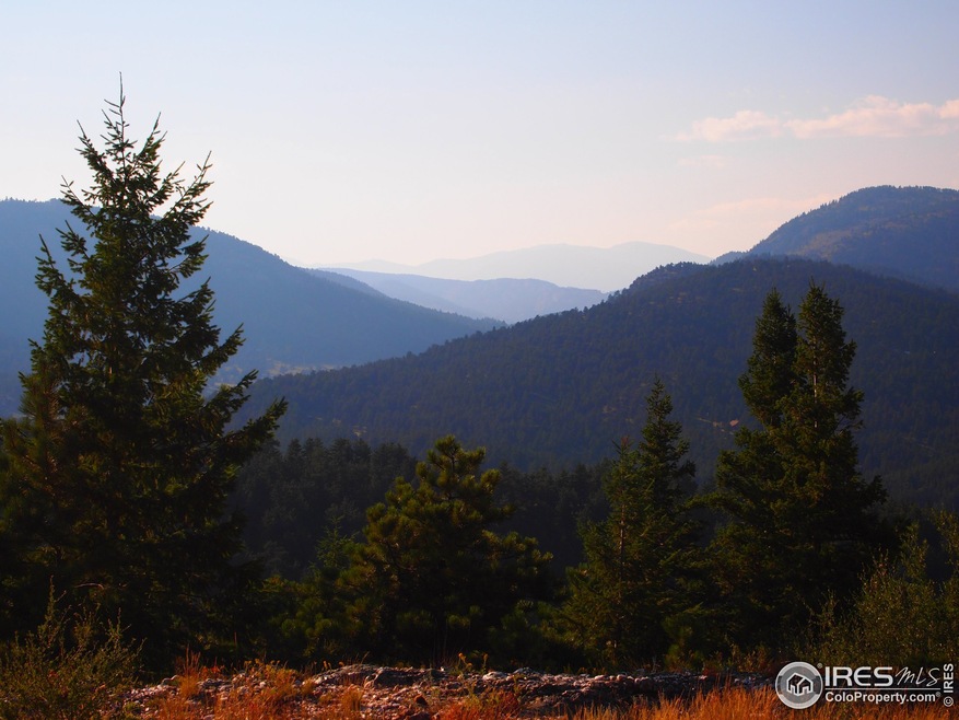 Welcome to Lone Wolf Road!