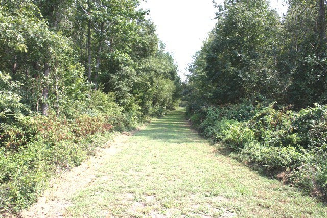 unlisted-address, Castalia, NC 27816 - photo 1