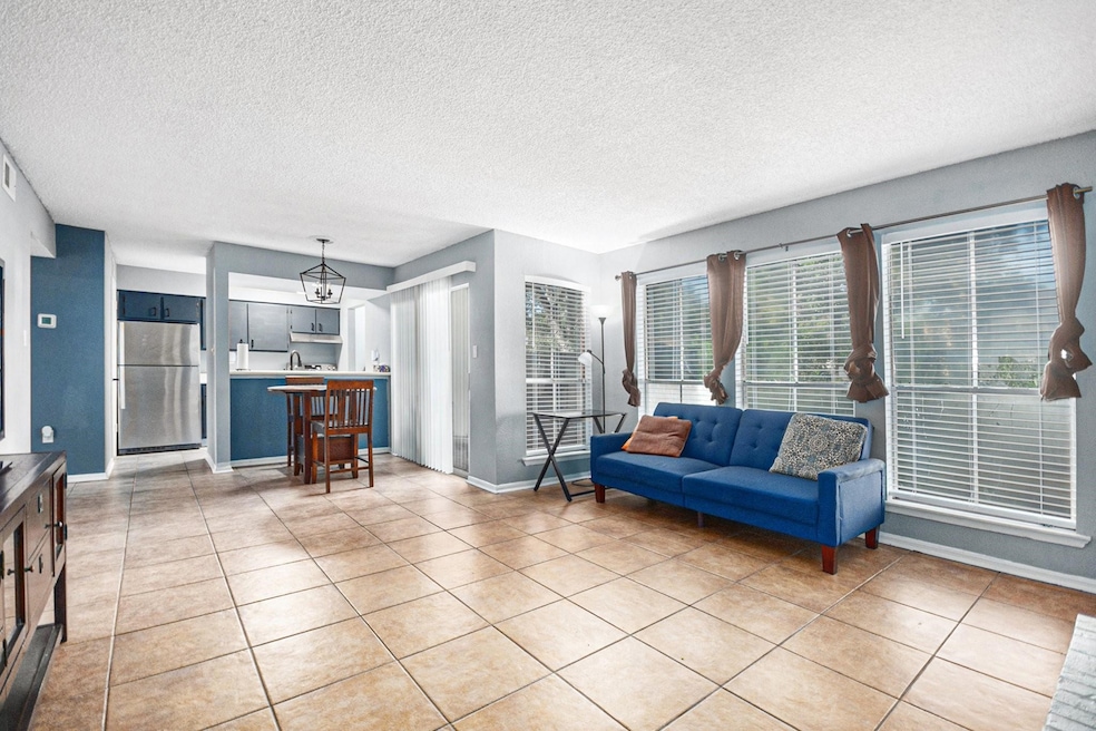 250 El Dorado Blvd unit 223, Webster, TX 77598 - photo 1