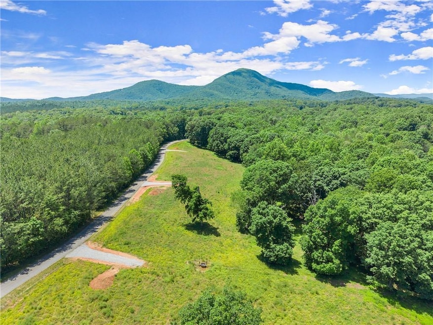 0 Arthur Allen Rd unit 7683303, Cleveland, GA 30528 - photo 1