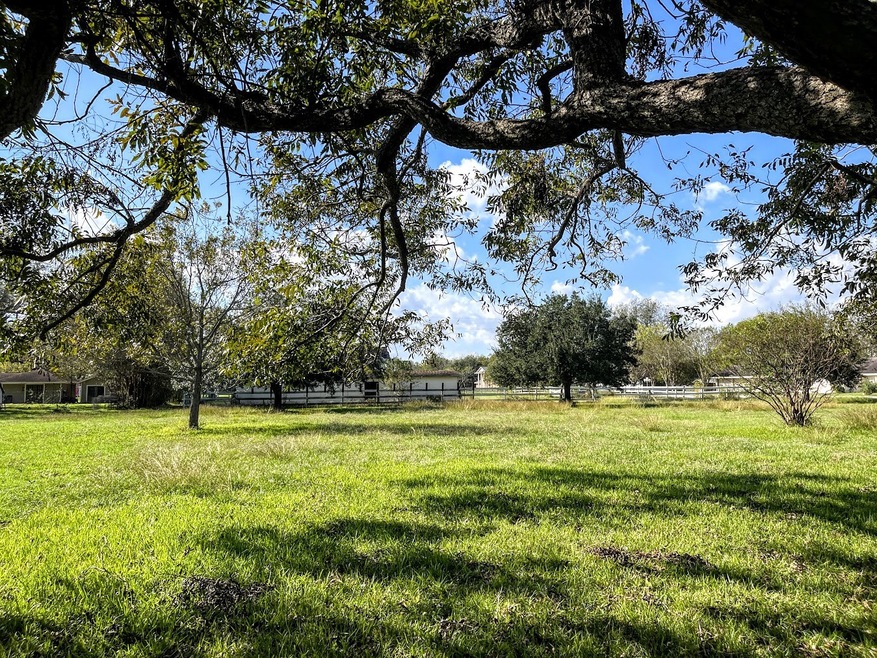 Filled with trees, ready to build your dream home