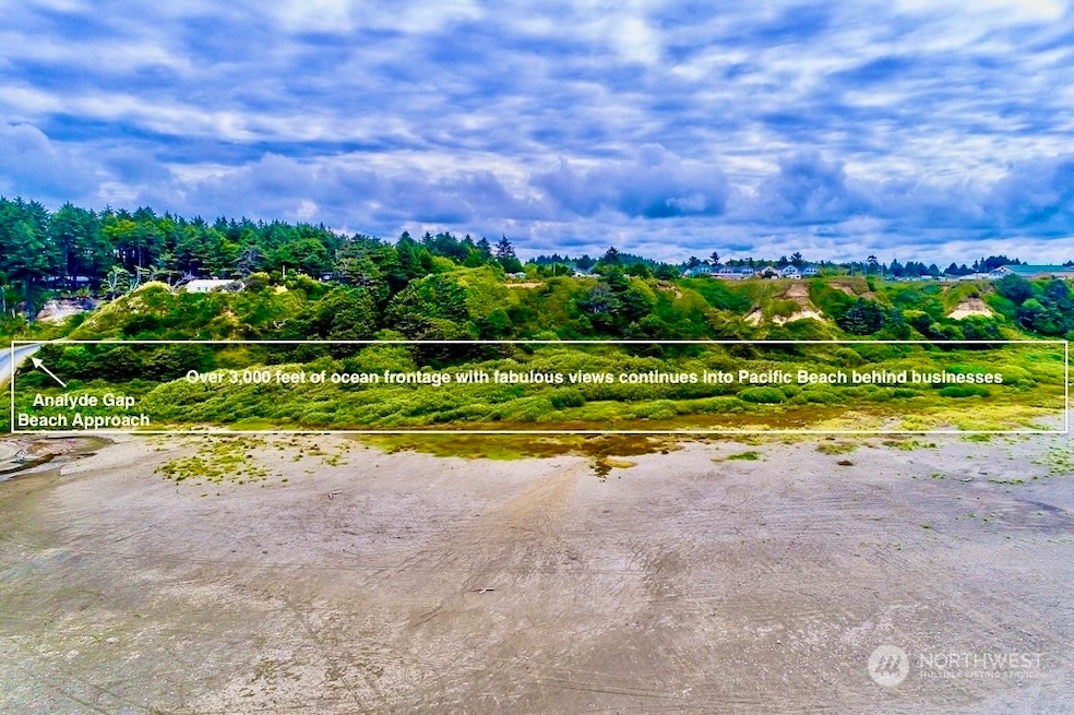 0 Railroad Ave, Pacific Beach, WA 98571 - photo 1