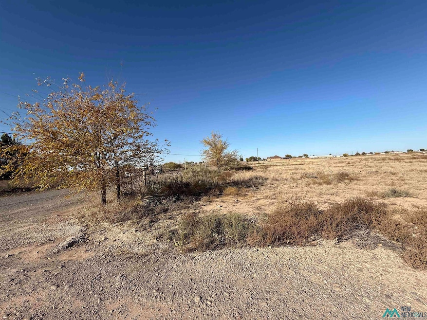 000 Rebel Rd, Dexter, NM 88230 - photo 1