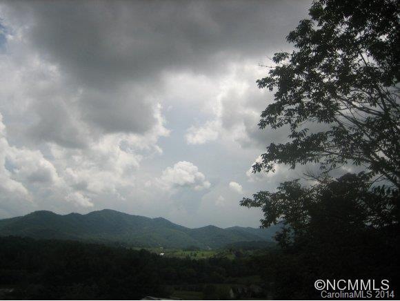 000 Jones Rd, Leicester, NC 28748 - photo 1