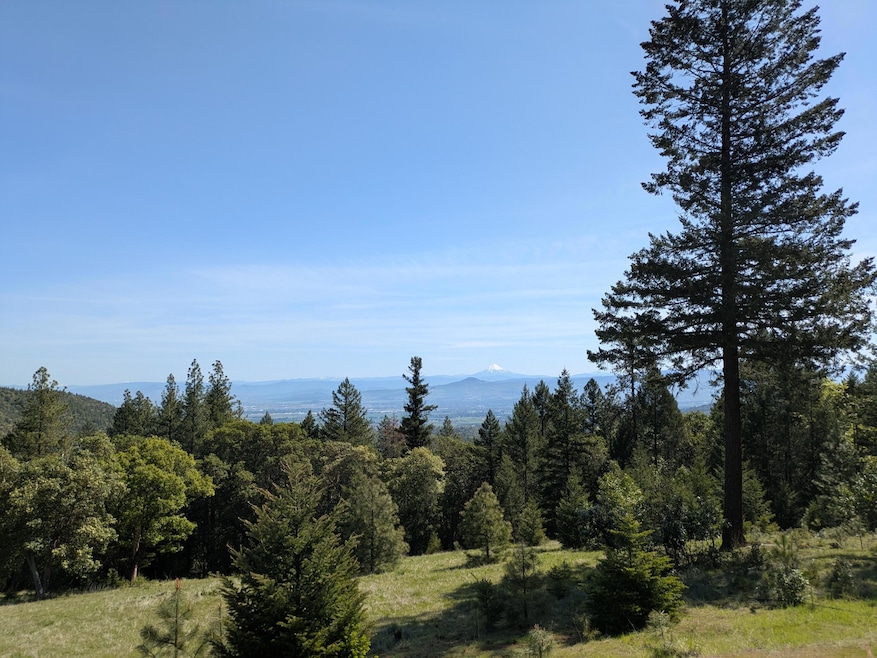 view after tree trim