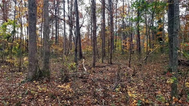 .97 Acre Wooded Lot in Summerfield Subdivision