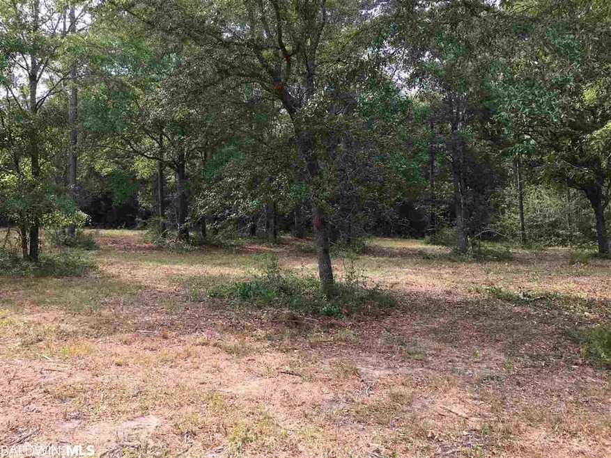 0 New Hope Church Rd, Robertsdale, AL 36567 - photo 1