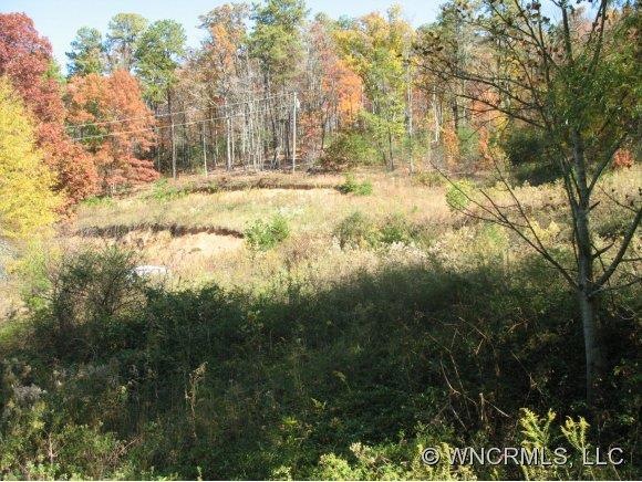 168 Moores Valley Rd, Leicester, NC 28748 - photo 1