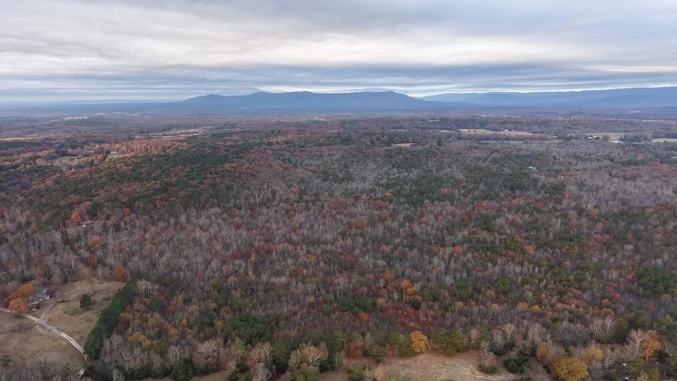 Hallelujah Ln, Mena, AR 71953 - photo 1