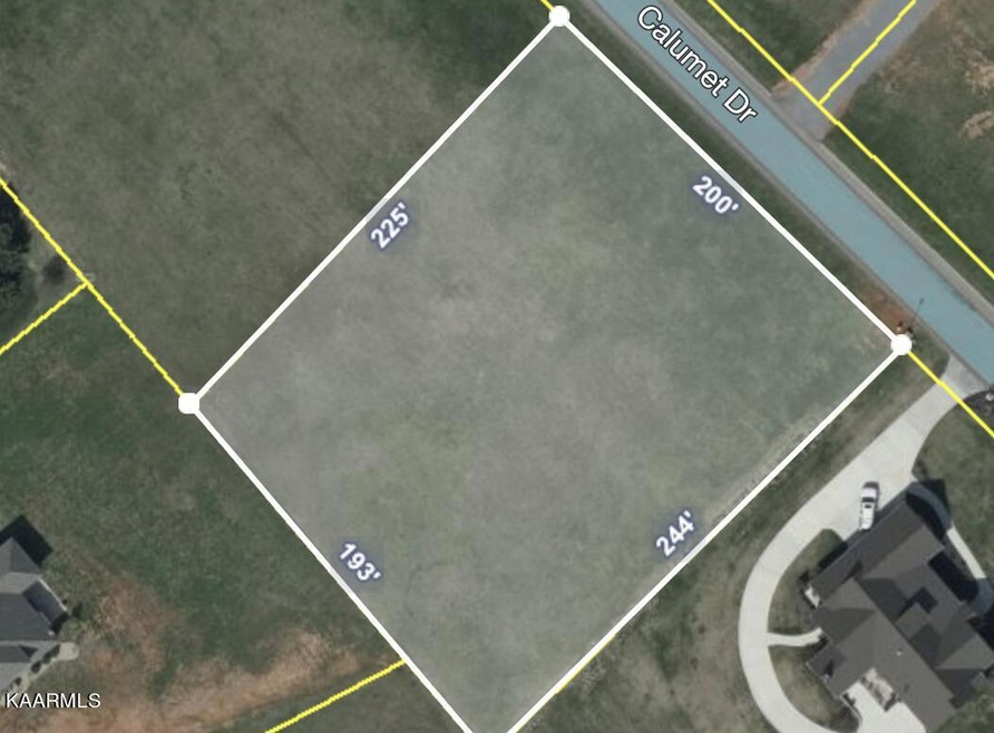 Aerial Shot