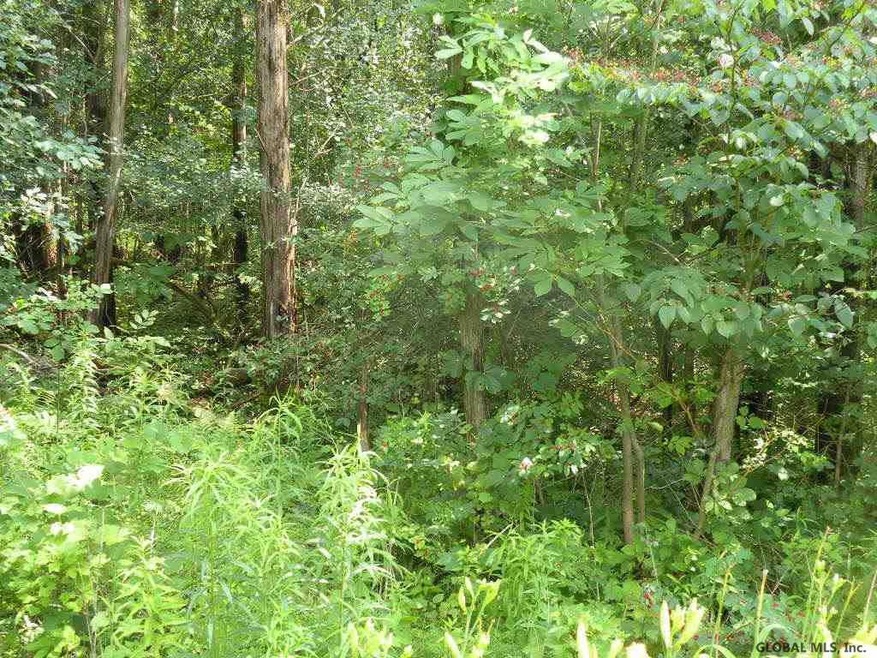 0 Tammy Trail unit 201924298, Coxsackie, NY 12051 - photo 1