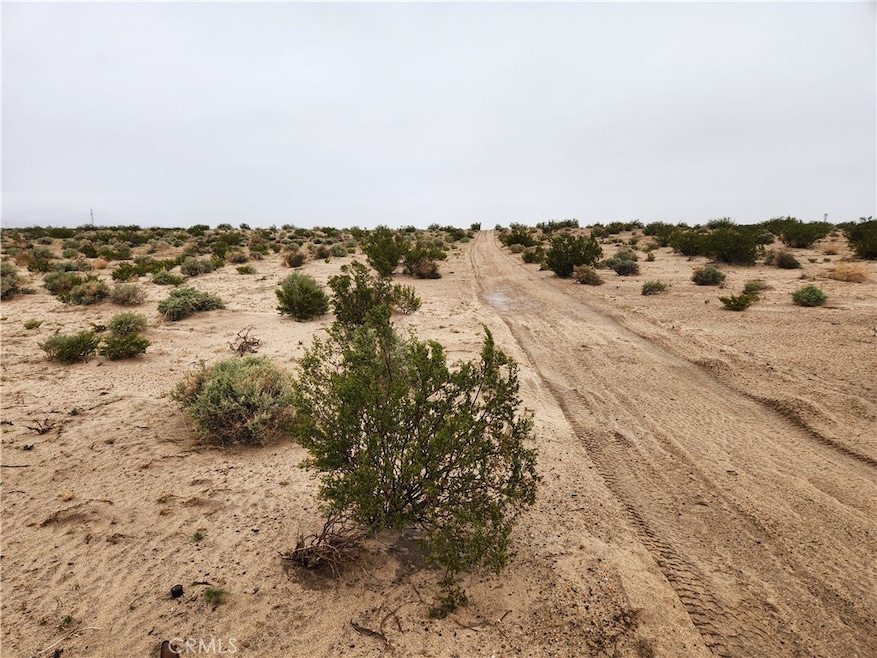 3 AC Fairview Rd, Newberry Springs, CA 92365 - photo 1