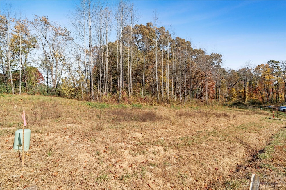 36 Scott Meadows Dr, Asheville, NC 28806 - photo 1