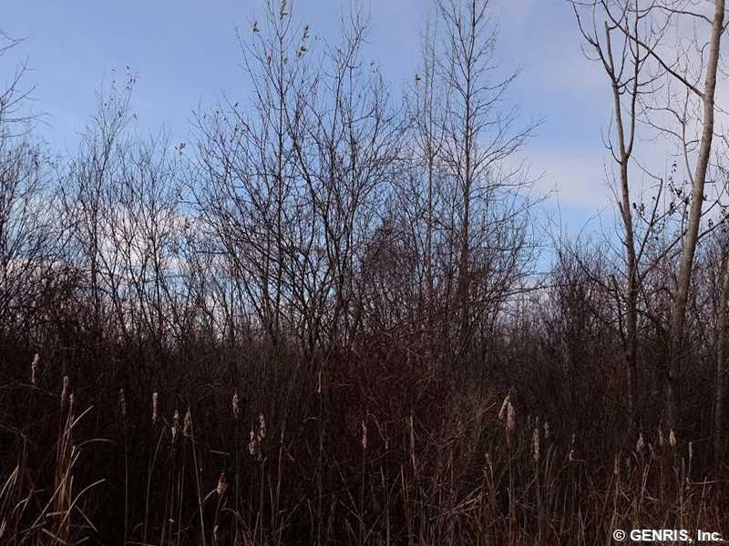 Land/Lot