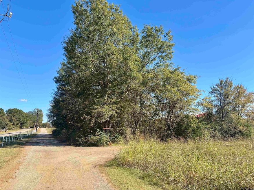 Lot 166 Kitty Hawk Dr, Berryville, TX 75763 - photo 1