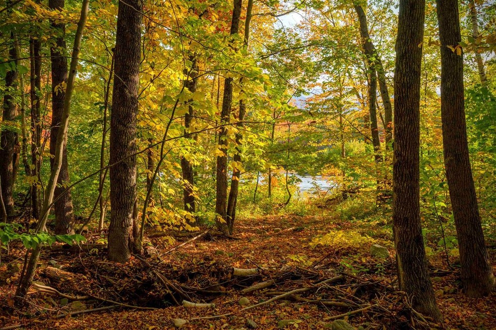 306 North Rd, Shelburne, NH 03581 - photo 1