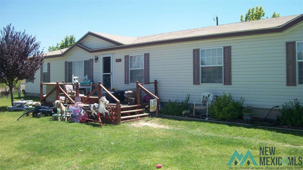 1007 Hidalgo Rd, Carlsbad, NM 88220 - photo 1