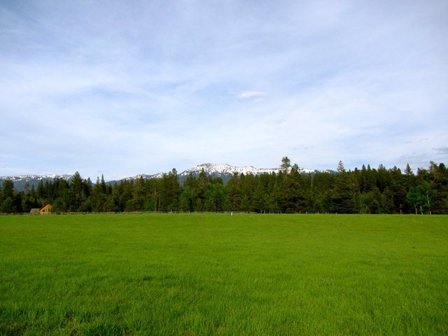 Main View