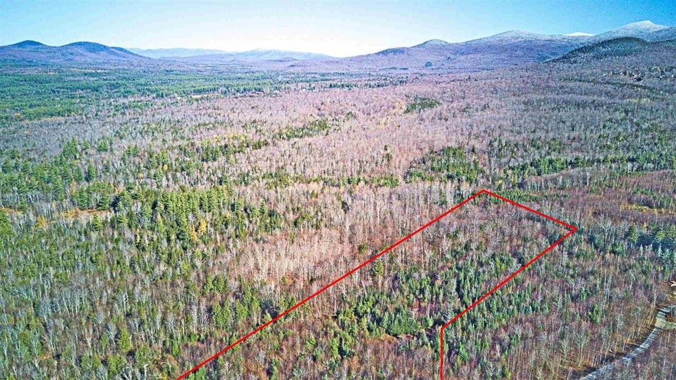 0 Park View Dr unit 40.3 4837558, Franconia, NH 03580 - photo 1