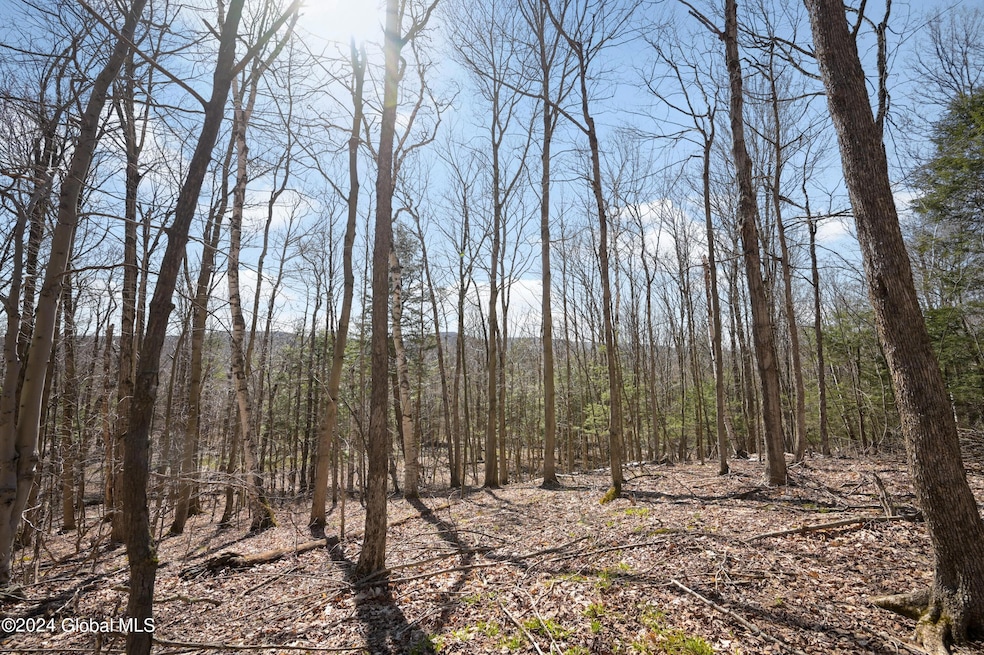 Sold $39,000 • Co-Listing Agent