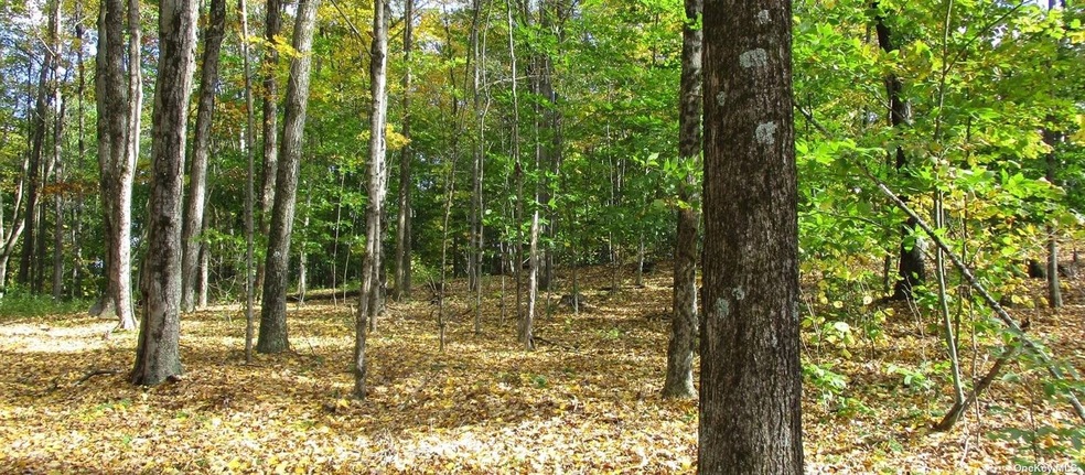 0 Ten Neighbors Rd unit 3382795, Red Hook, NY 12571 - photo 1